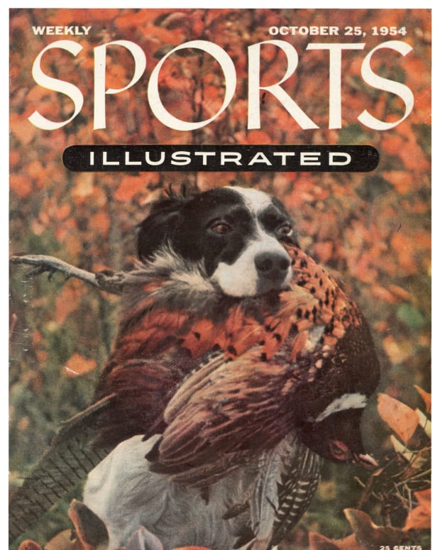 40815 - Cover Image